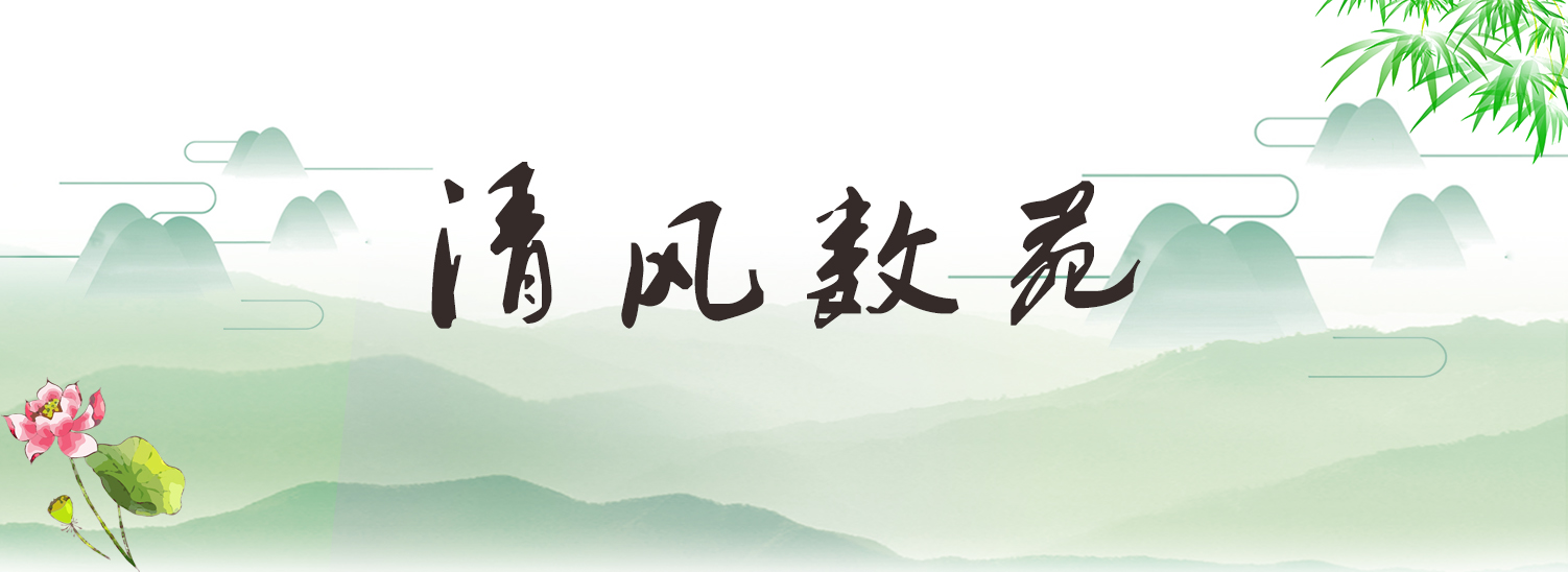 久久久精品国产亚洲成人满18免费网站